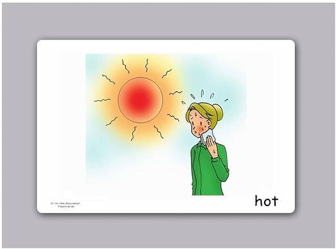 Feelings and Emotion Flash Cards - English Vocabulary Picture Cards for Toddlers, Kids, Children and Adults