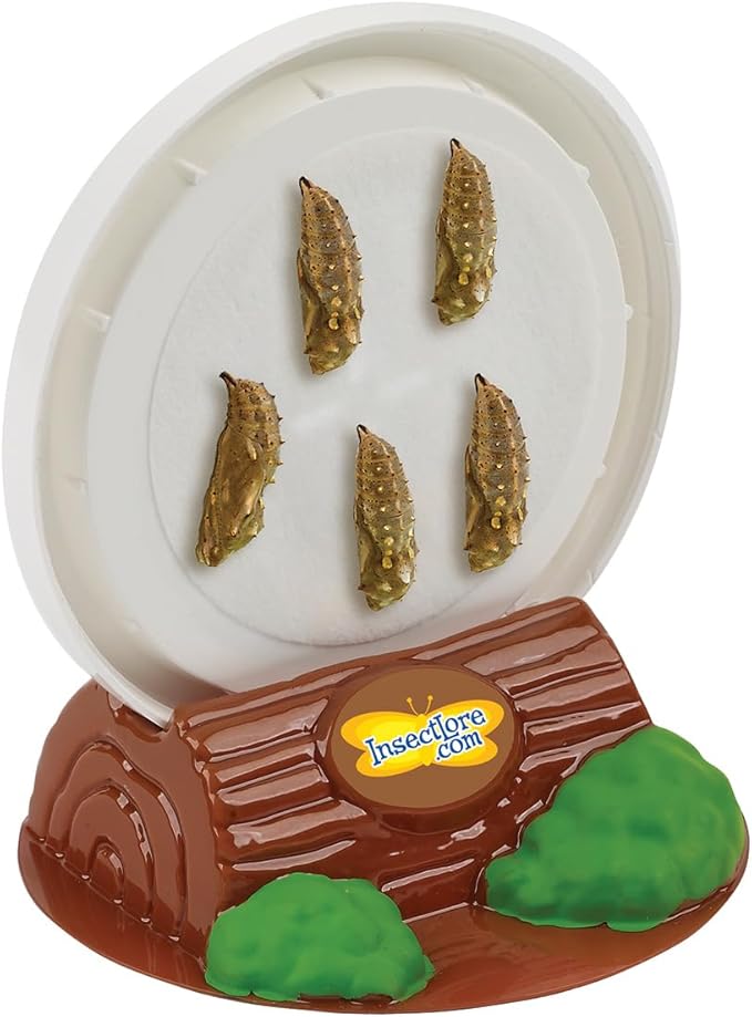 Insect Lore Butterfly Garden - Pavilion School Kit with 33 Live Caterpillars - 2ft Tall Habitat, STEM Activity Journal, Cups & Tools Included - Immersive Classroom Life Cycle Learning