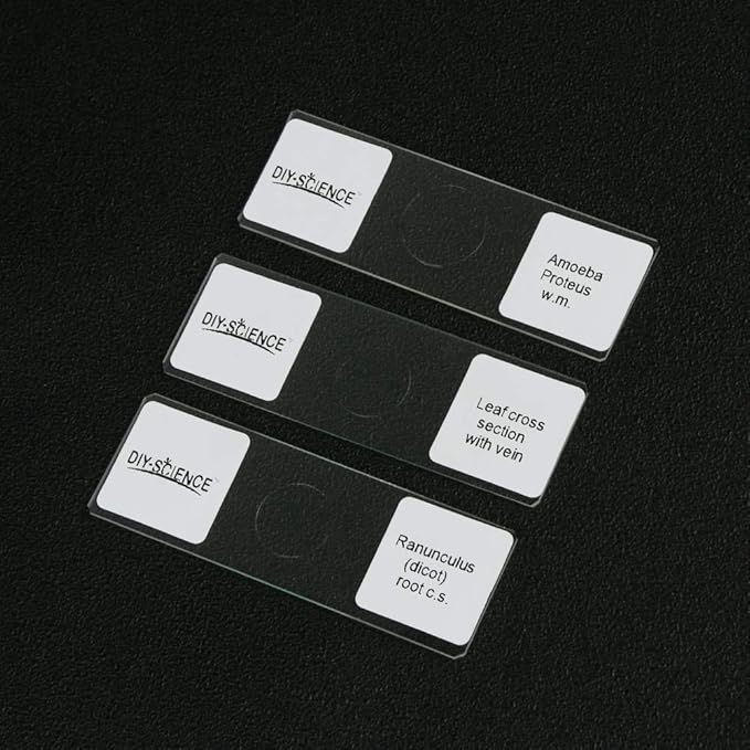 Prepared Microscope Slides Set for Apologia Biology, Pack of 16pcs Specimens Specifically for Biology Course (Apologia Slides)