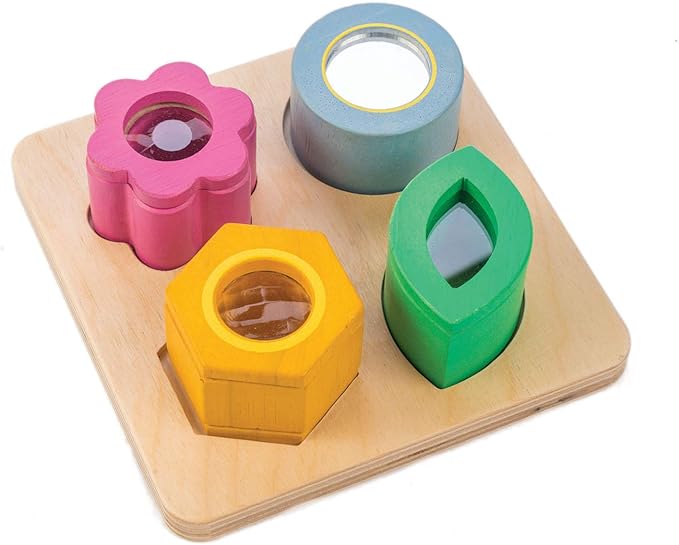 Tender Leaf Toys - Sensory Trays - Baby Blocks, Shape Sorter, STEM Learning Shape Identification Sorting Game Toy for Kids 18 Month + (Visual Sensory Trays)