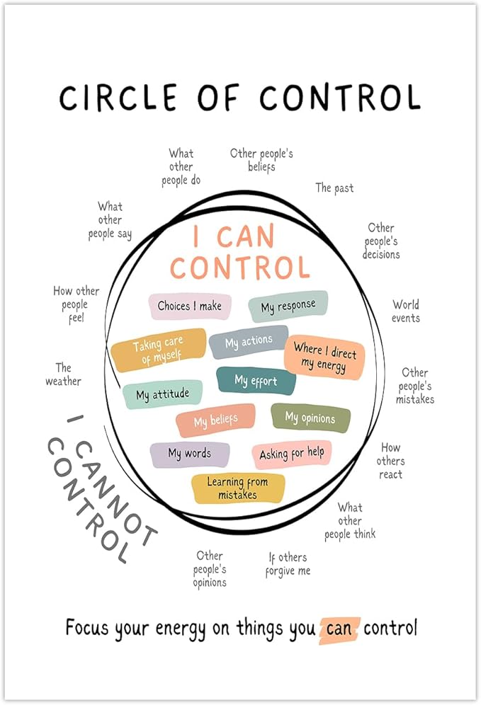 Circle Of Control Poster What I Can And Cannot Control Therapy Office Wall Art Kids Mental Health Poster Calm Down Corner School Decor 12x16in Unframed