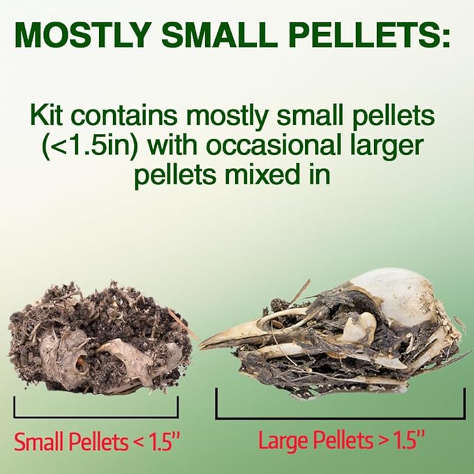 ES EVVIVA SCIENCES Owl Pellet Kit - Dissect 15 Mostly Small Real Owl Pellets w/Tools & PDF Bone Charts - Science Education Kit for Ages 15+ - Hands-On Animal Biology Science Lab Activity