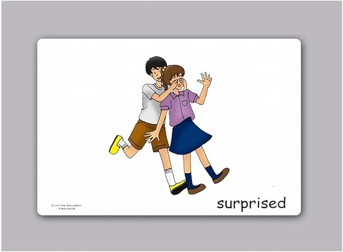 Feelings and Emotion Flash Cards - English Vocabulary Picture Cards for Toddlers, Kids, Children and Adults