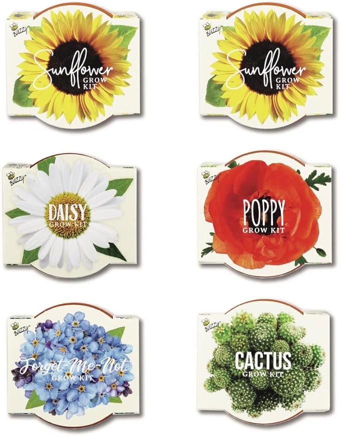 BUZZY Seeds Mini Terracotta Grow Pots Daydream Collection, Assorted 6-Pack Flower and Plant Seed Starter Kit for Kids and Adults, Indoor Gardening Gift, Holiday Present, Stocking Stuffer
