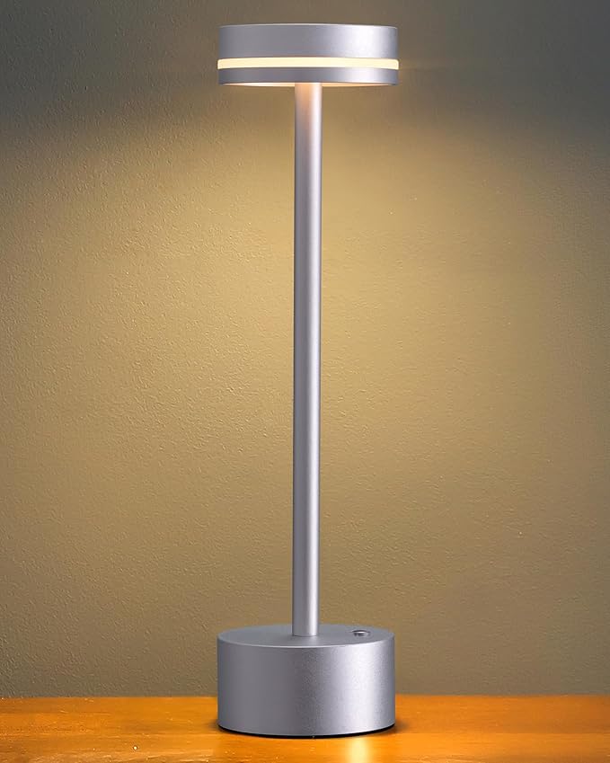 PUSU Portable Table Lamp Battery Powered LED Lamp Cordless Table Lights 3-Level Brightness Touch Control, for Home Office Bedroom Hotel Room Restaurant Outdoor(Silver)