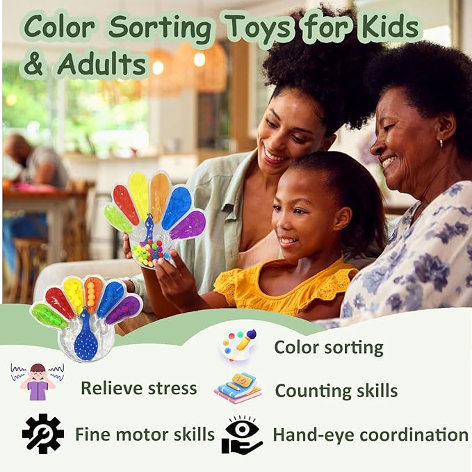 2PCS Color Sorting Sensory Toy, Fine Motor Skills Toys for Toddlers, Montessori Toys Preschool Learning Activitie, Sensory Activity Toy for Kids 3+ and Adults