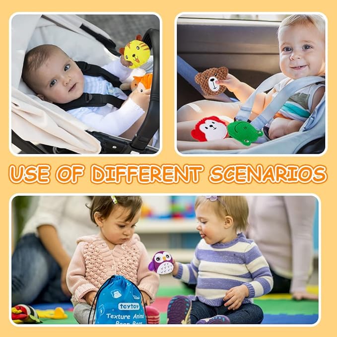 teytoy Sensory Bean Bag for Kids 10 Pack,Texture Sensory Beanbags,Sensory Toys for Autism,Animal Sensory Fine Motor Toys with Storage Bag for Boys and Girls