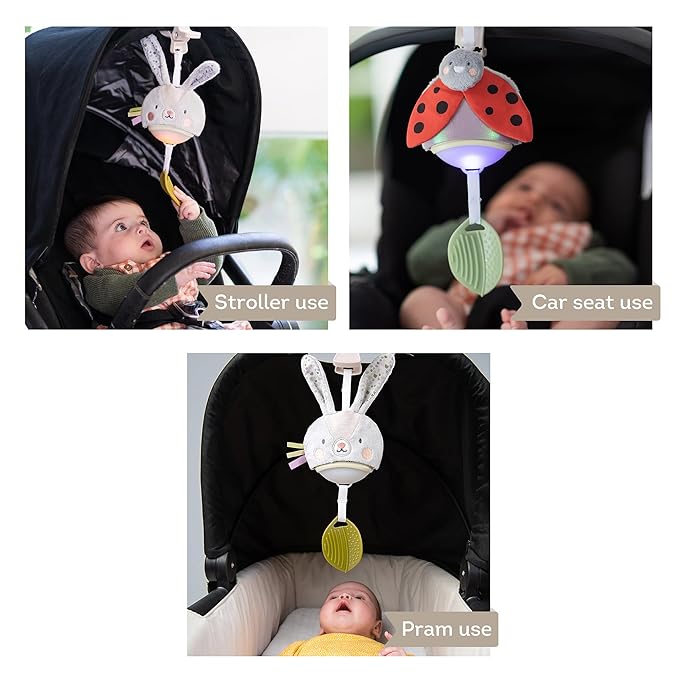 Taf Toys Music & Light Ladybug Take Along Toy, Portable Baby Sound Machine, Newborn Soother, Infant Musical Crib Mobile, Perfect for Tummy Time and Brain Development, Suitable for 0-6 Months
