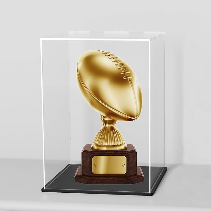 8x12 Inch Acrylic Trophy Case, Clear Acrylic Case for 11’’ Tall Collectibles Display, Alternative Glass Memorabilia Display Case for Action Figures Storage