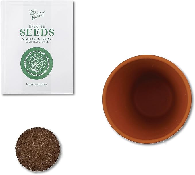 BUZZY Seeds Sunflower Daydream Collection 6-Pack Mini Terracotta Grow Pots, Includes Seed Packets and Growing Medium, Flower Starter Kit for Kids and Adults, Indoor Gardening Gift, Wedding Favors