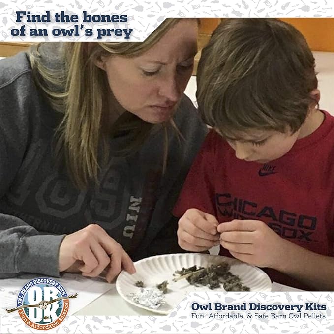 OBDK Barn Owl Pellets for Dissection - 20 Pack Medium Sized (1.5"-2.0") with Tools, Guide and Charts from Owl Brand Discovery Kits