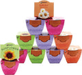 BUZZY Seeds Terracotta Mini Grow Pots | Flower Starter Kit for Kids & Adults | Assorted 12-Pack, Bright Series Collection, Daisy, Lavender, Mini Rose, Sunflower | Gardening Gift, Party Favors