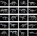Chunful 20 Pcs Animal X-Ray Kit Wildlife X-Ray Flash Cards Educational Science Kit Light Table Toys Accessory, 11.7" x 8.3'' (Dinosaurs)