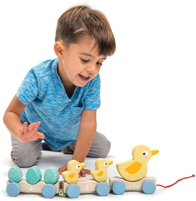 Tender Leaf Toys - Pull Along Ducks - Classic Wooden Pull Along Toy - 9pc Duck Family Set with 1 Mother Duck, 2 Baby Ducks, 3 Eggs and 3 Cars - Encourages Number Learning - 18Mths+