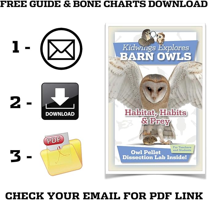 OBDK Barn Owl Pellets for Dissection - 20 Pack Medium Sized (1.5"-2.0") with Tools, Guide and Charts from Owl Brand Discovery Kits