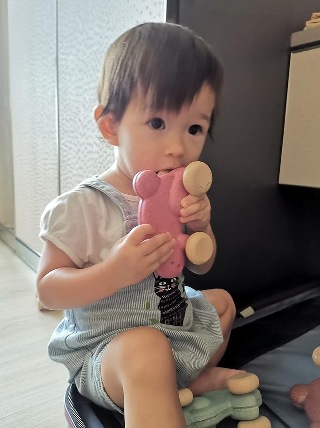PlanToys Push Along Bunny (Pink)