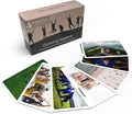 metaFox Coaching Picture Cards | Growing Together | Conversation Cards for Ice Breakers and Team Building Activities | Motivational Postcards for Your Next Coaching and Training Sessions