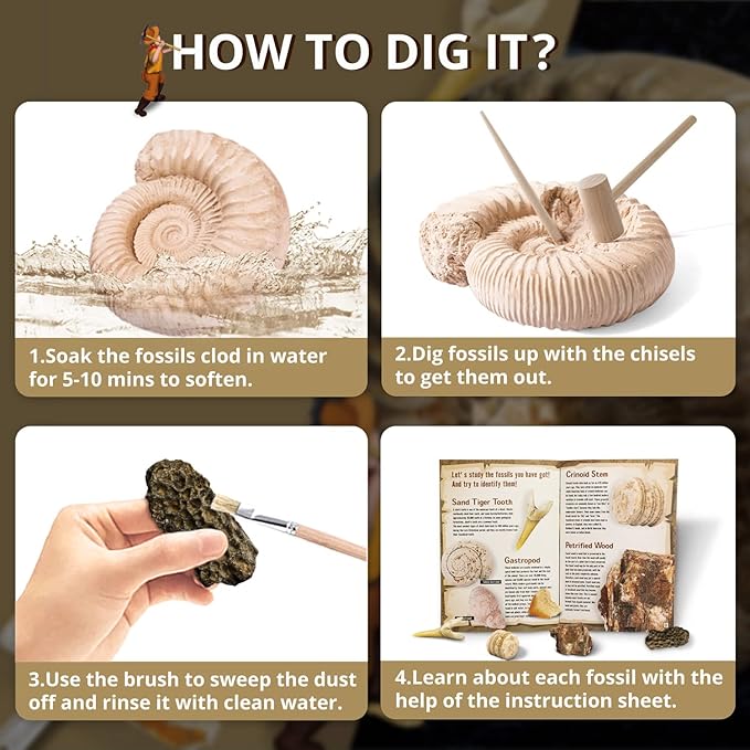 Byncceh Mega Fossil Dig Kit - Excavate 12 Prehistoric Fossils, Shark Teeth, Dinosaur Poop, Fossil Fish, Paleontology Educational STEM Science Toys for Kids Gifts for Girls & Boys