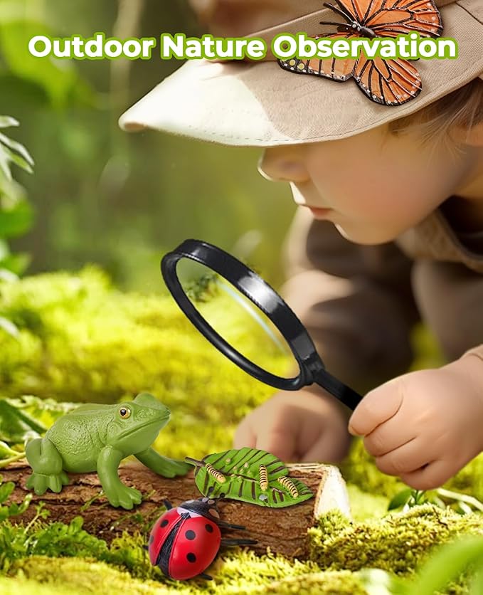 JoyCat Life Cycle Learning Education Toys, Insect Caterpillar to Butterfly kit, Ladybug, Bee, Tadpole to Frog Kit Life Cycle Toys for Kids, Preschool Learning Activities for Kids (Animals and Plant)