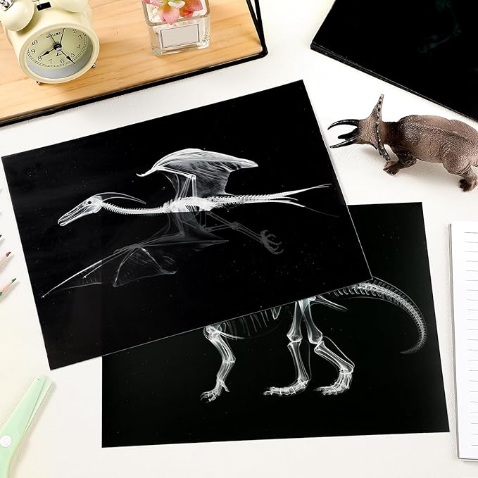 Chunful 20 Pcs Animal X-Ray Kit Wildlife X-Ray Flash Cards Educational Science Kit Light Table Toys Accessory, 11.7" x 8.3'' (Dinosaurs)