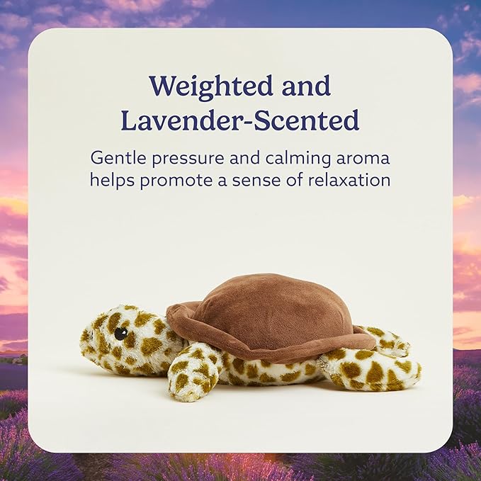 Warmies Microwavable French Lavender Scented Plush Turtle