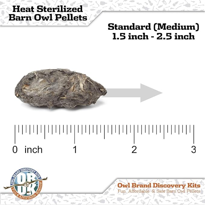 OBDK Barn Owl Pellets for Dissection - 20 Pack Medium Sized (1.5"-2.0") with Tools, Guide and Charts from Owl Brand Discovery Kits