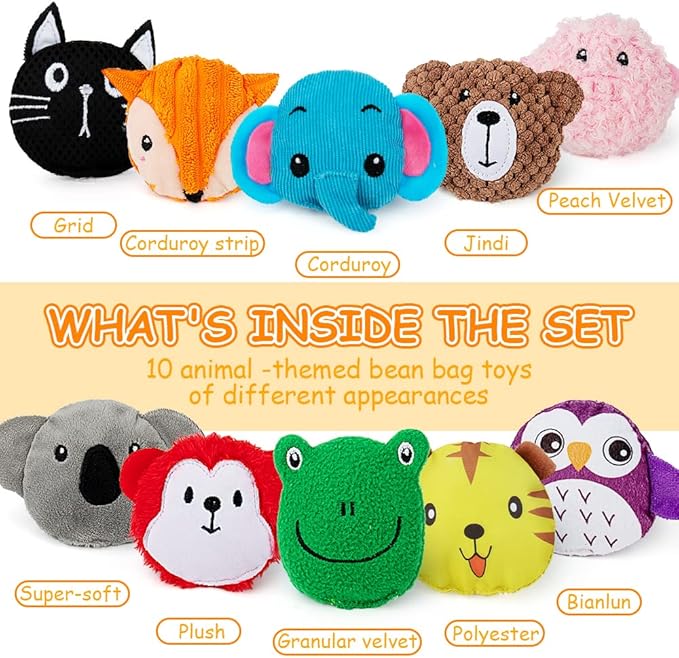 teytoy Sensory Bean Bag for Kids 10 Pack,Texture Sensory Beanbags,Sensory Toys for Autism,Animal Sensory Fine Motor Toys with Storage Bag for Boys and Girls