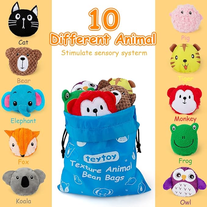 teytoy Sensory Bean Bag for Kids 10 Pack,Texture Sensory Beanbags,Sensory Toys for Autism,Animal Sensory Fine Motor Toys with Storage Bag for Boys and Girls