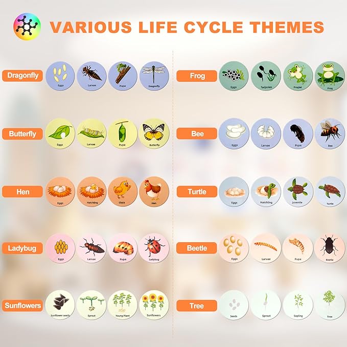 Life Cycle Toys for Kids Educational Science Kits, Montessori Toys for 3 4 5 6+ Years Old, Preschool Science Learning Easter Valentines Toys Gift for Toddler Boys & Girls