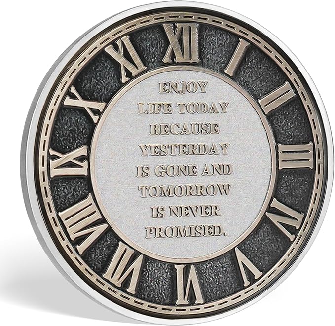 AtSKnSK Memento Mori Coin Momento Mori Coin Skull Coin Stoic Gifts Memento Mori Calendar Living Memento Mori Amor Fati Coin (Twilight Raven Skeleton)