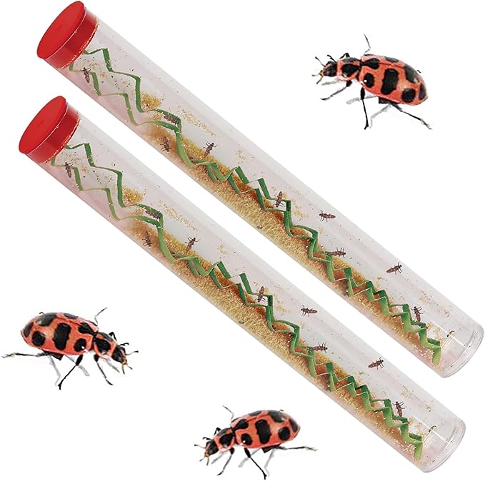 Insect Lore Live Baby Ladybug Larvae - Ladybug Growing Kit REFILL with Ladybug Life Cycle Toy Figurines - SHIP NOW