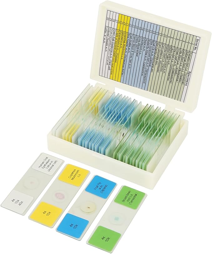 Microscope Slides with Specimens for Kids, 30 Lab-Grade Prepared Microscope Slides, Animal Plant Microbe Cells, STEM Biology Kit for Kids Ages 6-8 Homeschool, Classroom Labs & Science Education