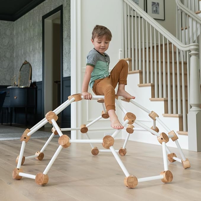 Little Partners Indoor Climbing Gym Active Play Equipment, Solid Wood Montessori Space Dome Climber for Toddlers 2-6 Years, Maximum 100 lb. Capacity, Large