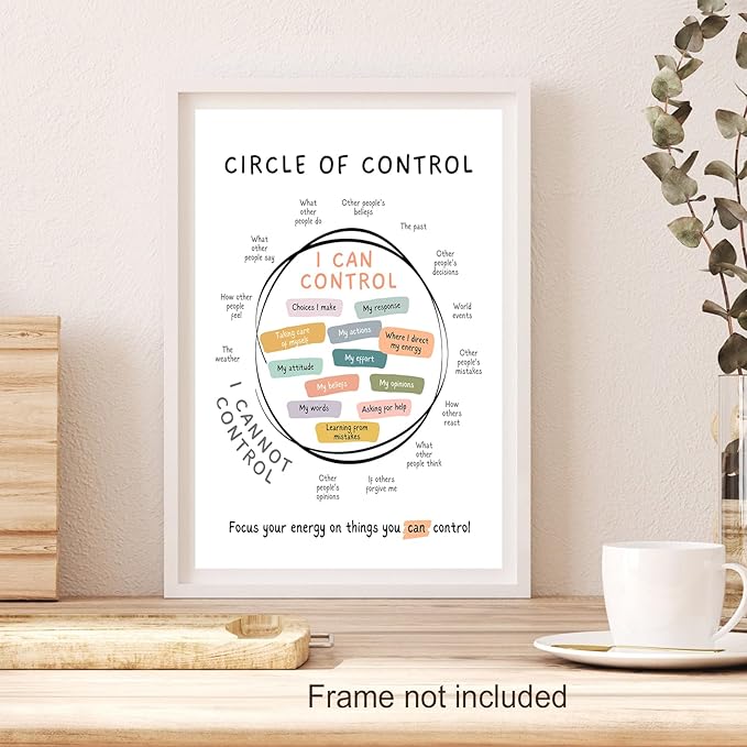 Circle Of Control Poster What I Can And Cannot Control Therapy Office Wall Art Kids Mental Health Poster Calm Down Corner School Decor 16x24in Unframed