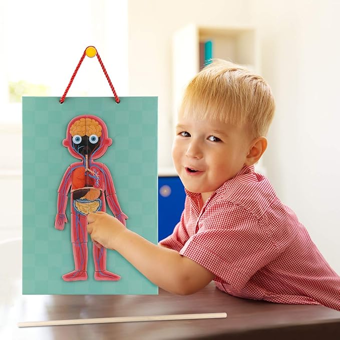 Human Body Puzzle for Kids Toddlers 90PCS Magnetic Boy Girl Anatomy Play Set Body Parts Organs Muscles Skeleton and Bones Wooden Puzzle Toys Aged 3+ Educational Learning Preschool Toys