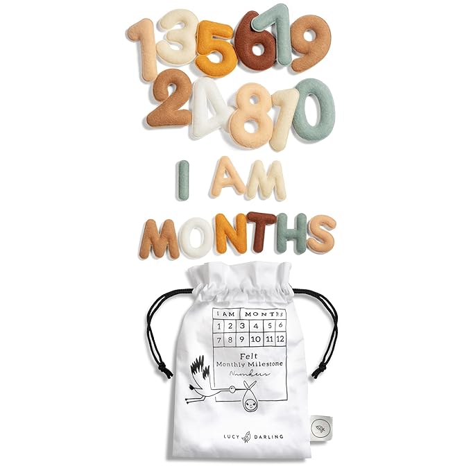 Lucy Darling Felt Baby Monthly Milestone Numbers – Signs & Photo Props – Soft Letters & Numbers for Baby Announcement, Newborn Photography – Neutral