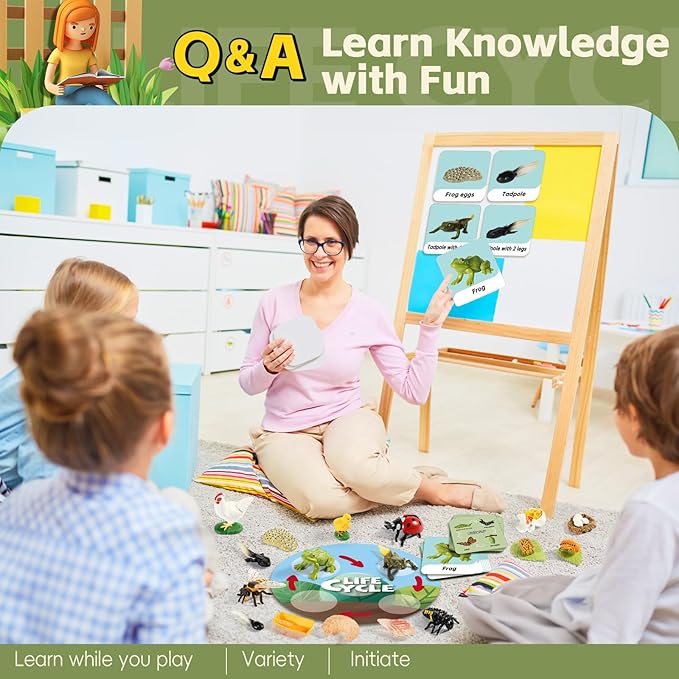 Life Cycle Kit Toy Montessori, Realistic Figurines Set for Kids with 25 Pieces Animals & Plants, Learning & Education Activity Games for Children 3 + |Preschool Classroom Must Haves