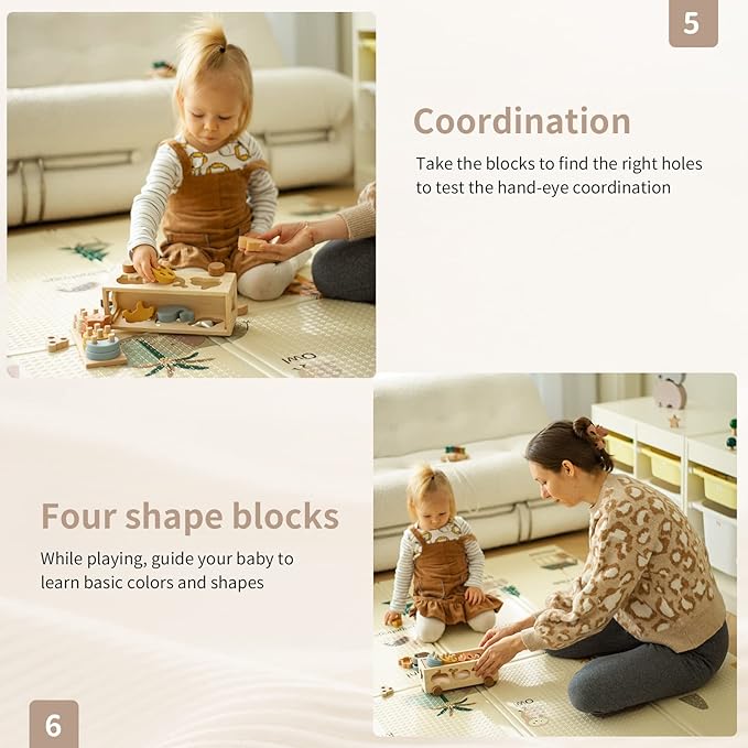 Shape Sorters for Toddlers 1-3, Wooden Toddler Toys, Montessori Toy Sorting & Stacking Toys, Shape & Color Recognition Educational Toys Learning Activities for Baby Boys Girls 1 2 3 Year Old