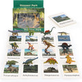 Small Dinosaur Figurines Learning & Education Toys, Plastic Realistic Dinosaur Animal Figures Games Toys, Preschool Learning Activities Matching Game Science Toys (Dinosaur)