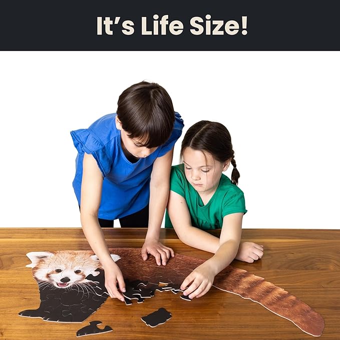 Red Panda Floor Puzzle– 50 pcs Life Size Jigsaw Puzzles for Adults, Teens & Kids, Animal-Themed Montessori Toys & Toddler Puzzles, Educational Activities for Children Ages 3+, 24x36