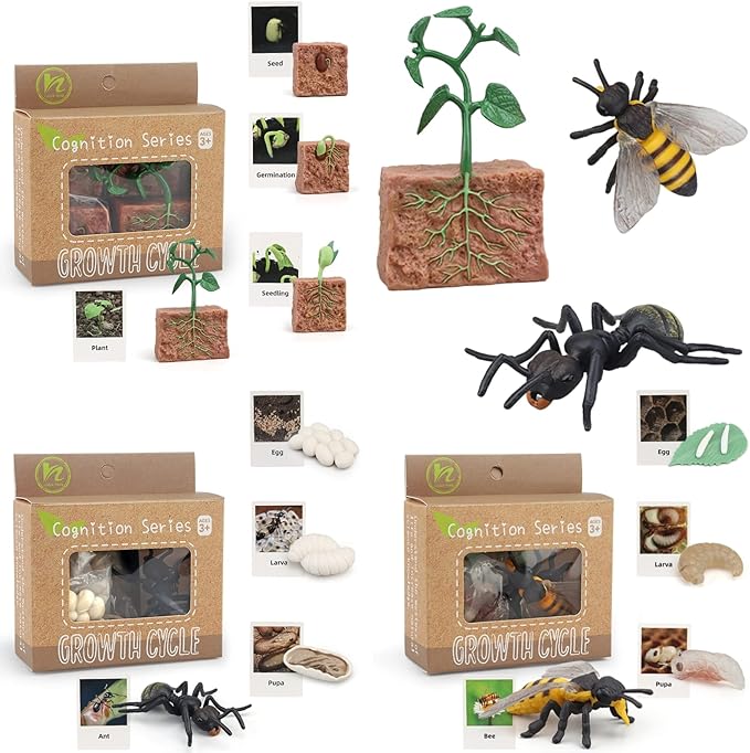 Montessori Life Cycle Animal Figurines Learning & Education Toys, Plastic Insect Life Cycle Toys for Kids, Preschool Learning Activities for Toddlers (Plant Bee Ant)