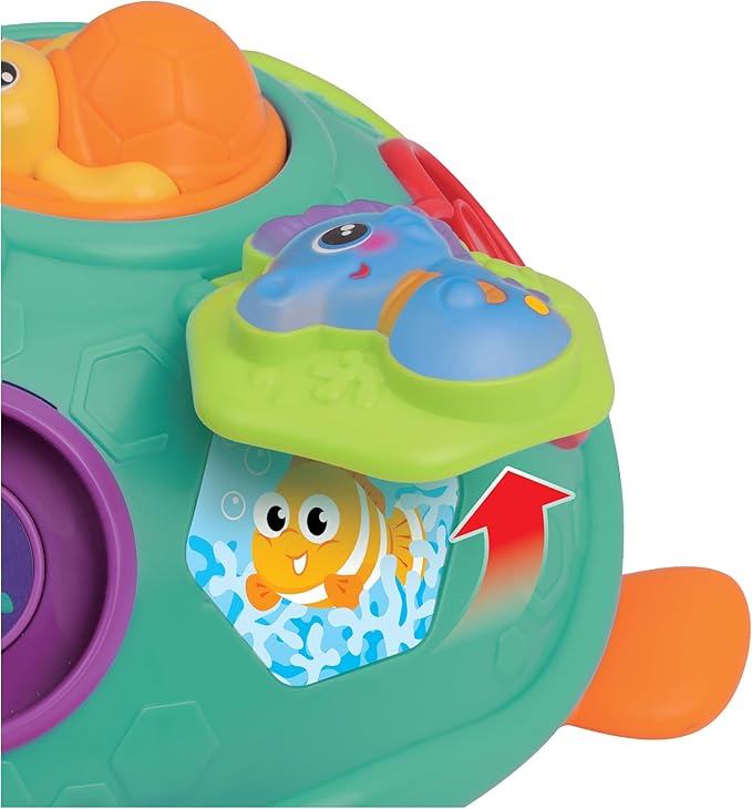 winfun Pull Along Sort 'n Learn Turtle – Shape Sorter Toy for Toddlers 12M+ with Lights, Sounds, Music, Quiz Game – Bilingual English/Spanish Educational Toy – Includes 4 Shapes & Batteries