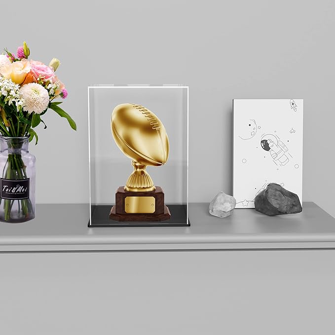 8x12 Inch Acrylic Trophy Case, Clear Acrylic Case for 11’’ Tall Collectibles Display, Alternative Glass Memorabilia Display Case for Action Figures Storage