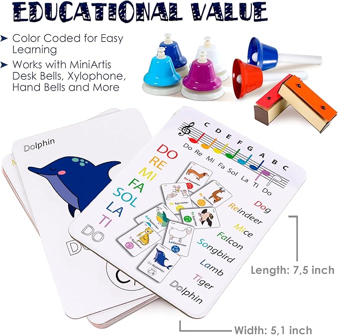 MINIARTIS Musical Flash Cards for Kids | Learning Notes Reading | Educational Color Coded Music Note Theory Flashcards for Beginning Students | Large Size Cards