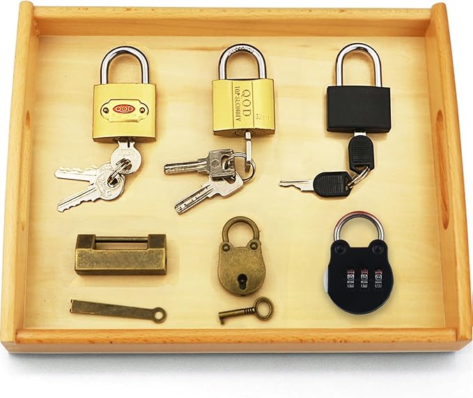 Montessori Lock and Key Toy Set for Toddlers, Montessori Elementary Materials Educational STEM Toy Matching Games Lock Set with Wooden Tray for 3 4 5 Year Old Kids