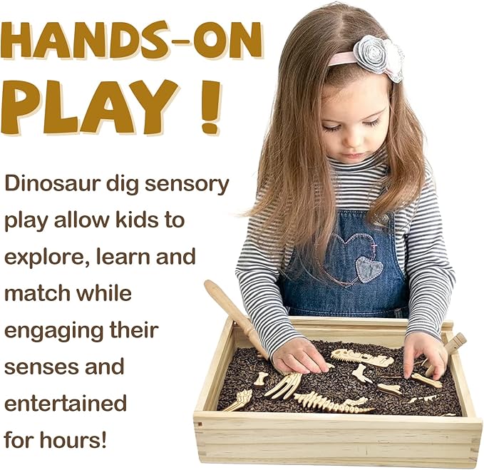 Xylolin Dinosaur Excavation Archaeology Dig Kit for Kids, Fossil Explore Sensory Bin Toys, Dino Skeletons Bones Puzzle Game, Archaeology Science STEM Toys for Boys and Girls (Tyrannosaurus)
