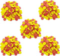 DNB 2-Color Foam Counters - 1 Inch Red-Yellow Double-Sided Math Counters, Early Learning Counting Chips, 1000 Pieces