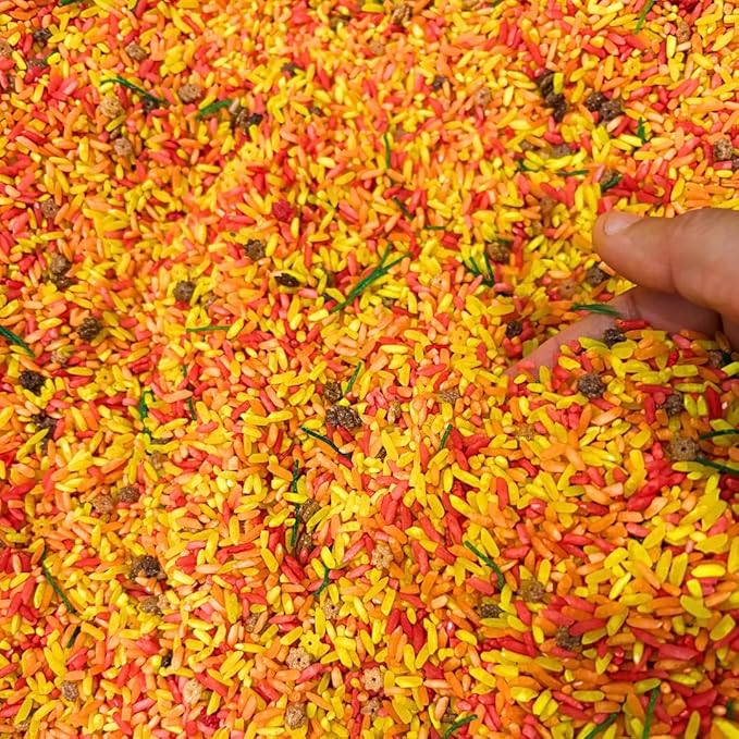 Fall Themed Colorful Rice | Fall Sensory Bin Filler for Sensory Table | Seasonal | Autumn Theme Activity | Engaging Rice Mix for Kids | Thanksgiving Present & Toddler Gift | 18 Months +