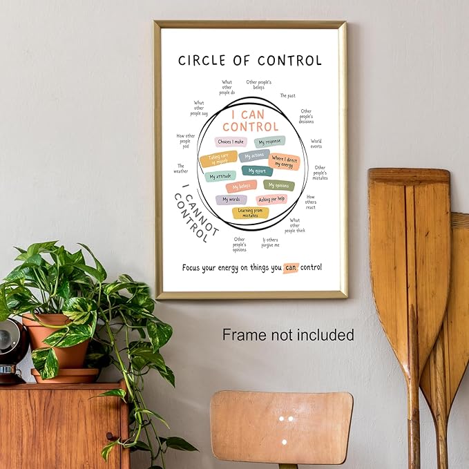 Circle Of Control Poster What I Can And Cannot Control Therapy Office Wall Art Kids Mental Health Poster Calm Down Corner School Decor 12x16in Unframed