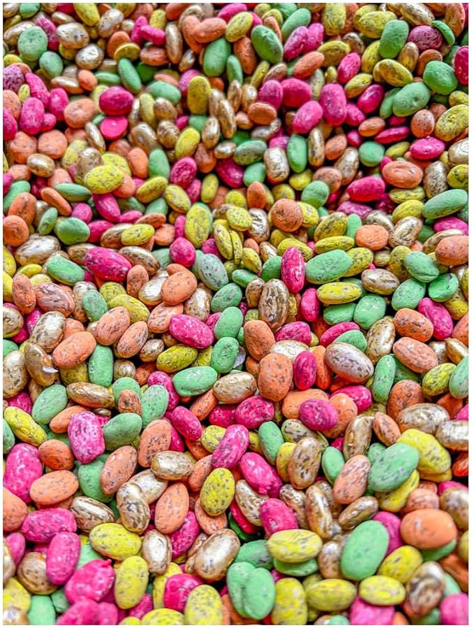 Fall Themed Sensory Beans - Colorful Sensory Bin Filler - 4 Cups